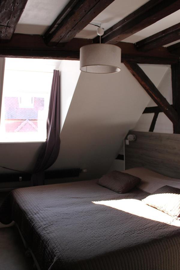 Appartement Les Violettes كولمار المظهر الخارجي الصورة